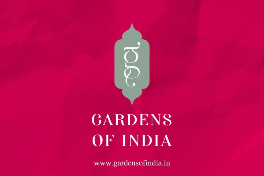“Bringing India’s Finest Tea, Spices, and Foods to Your Doorstep: Gardens of India’s Ecommerce Launch”