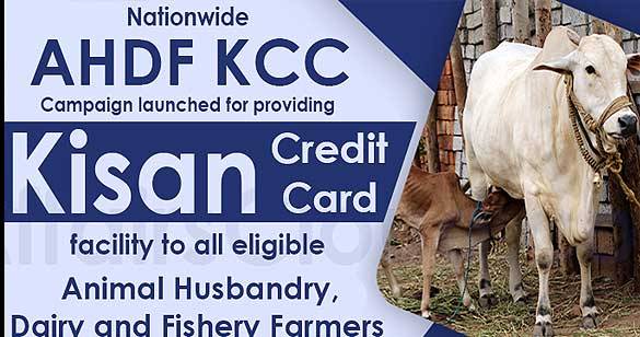 पशुपालन, डेयरी और मत्स्य किसानों के लिए चला एएचडीएफ केसीसी अभियान, ले सकेंगे 3 लाख रुपये तक का लोन