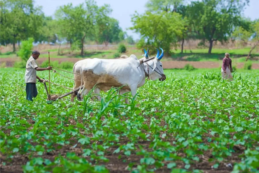 Organic Farming in India: Types, Methods, Advantages, and Profitability | Explained by Pravin Javaharmal Chandan