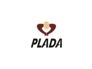 Plada Infotech Services Limited IPO Opens on 29th September, 2023 And listing on NSE Emerge