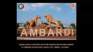 Largest Asiatic Lion Pride Sculpture Composition in Ferrocement Installation at Ambardi Safari Park, Dhari, Amreli, Gujarat, India