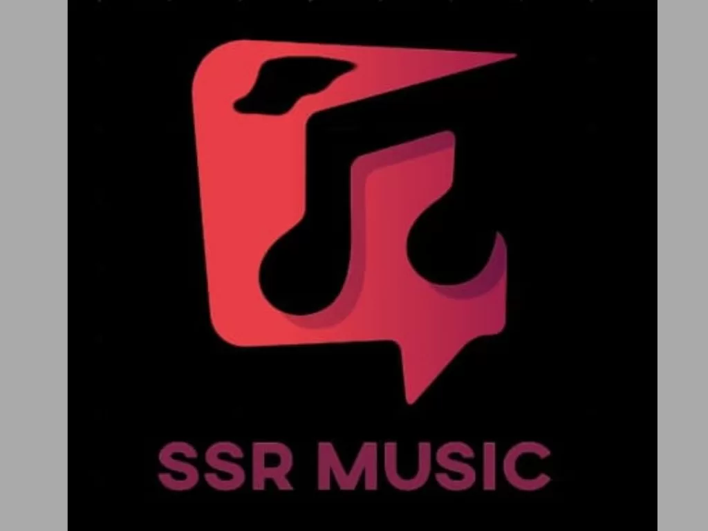 SSR Music Company: Orchestrating Musical Brilliance.