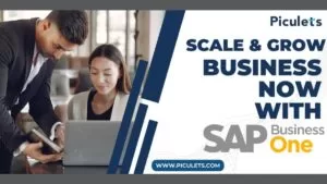 Elevating Business Operations: Piculets Leads the Charge with SAP Business One ERP Solutions