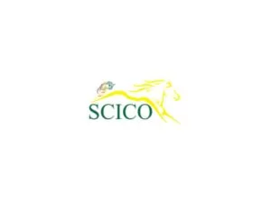 Enabling Offline Retail Expansion – The Story of SCICO
