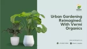Urban Gardening Reimagined: Vermi Organics’ Role in the Rise of Indoor Plant Culture