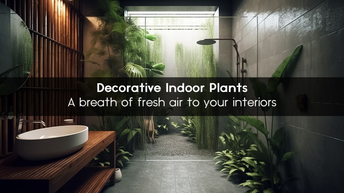 A breath of fresh air to your interiors – Decorative Indoor Plants