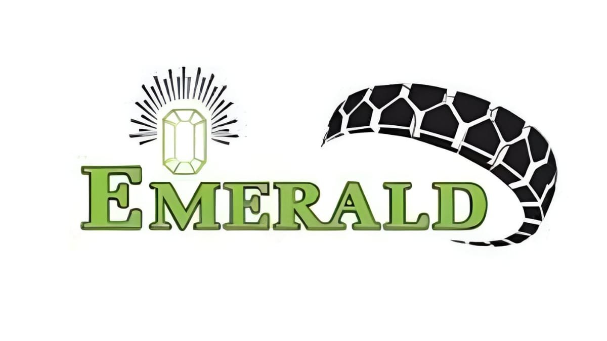 Emerald Tyre Manufacturers Limited IPO Opens on December 05, 2024