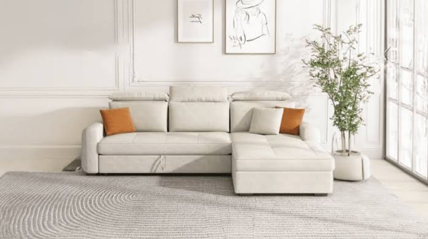 Buying a Sofa Cum Bed with Storage? Here’s What You Need to Know